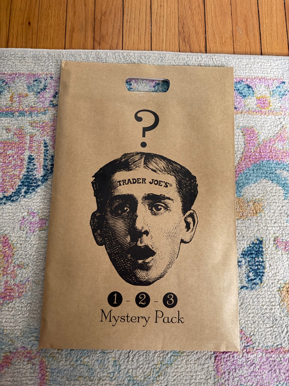 Trader Joe's Mystery Pack Bag - 3 Totes